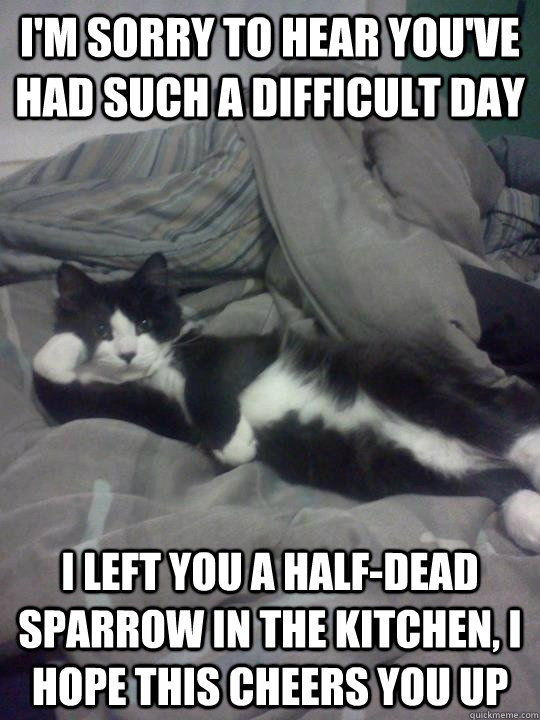 im sorry to hear youve had such a difficult day i left you - Caring Cat