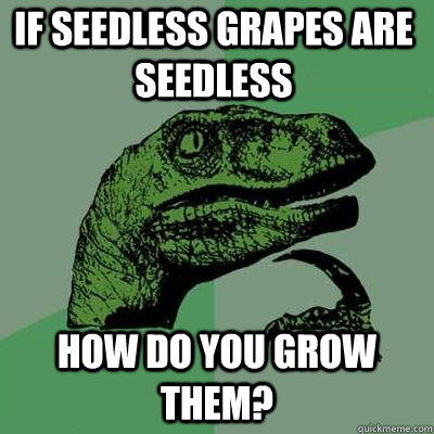 if seedless grapes are seedless how do you grow them - Philosoraptor