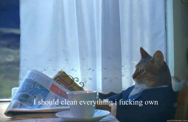 i should clean everything i fucking own - Sophisticated Cat