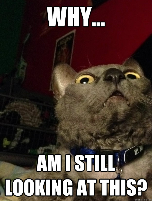 why am i still looking at this - Cant Stop Looking Cat