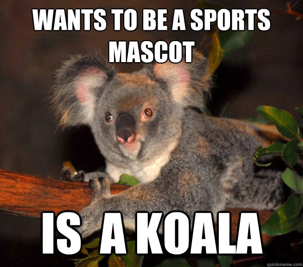 wants to be a sports mascot is a koala -