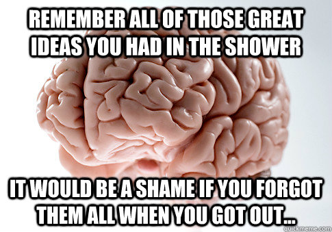 remember all of those great ideas you had in the shower it w - Scumbag Brain