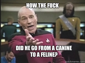 How the fuck Did he go from a canine To a feline - Annoyed Picard