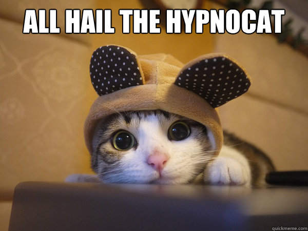 all hail the hypnocat -