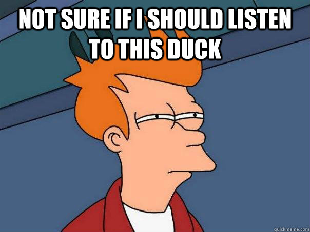 not sure if i should listen to this duck - Futurama Fry