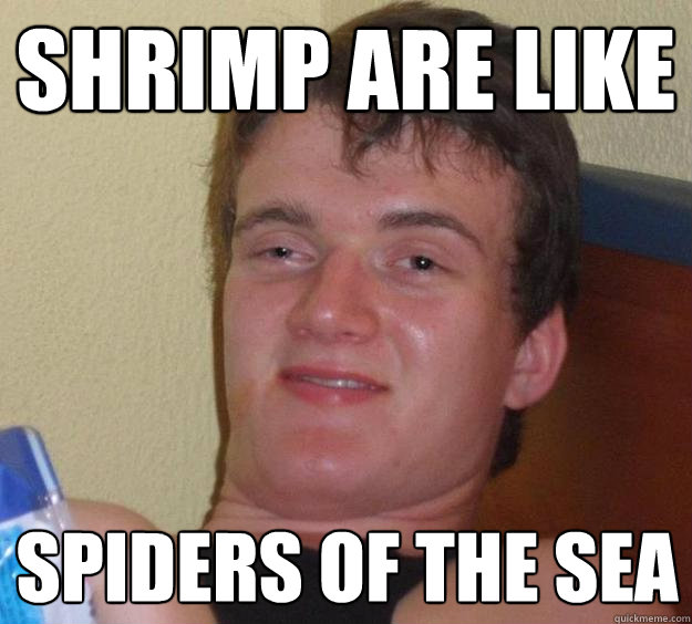 shrimp are like spiders of the sea - 10 Guy