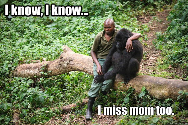 i know i know i miss mom too - mmmm