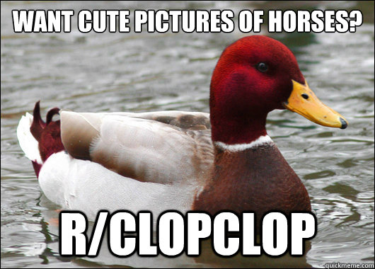 want cute pictures of horses rclopclop - Malicious Advice Mallard