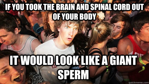 if you took the brain and spinal cord out of your body it wo - Sudden Clarity Clarence