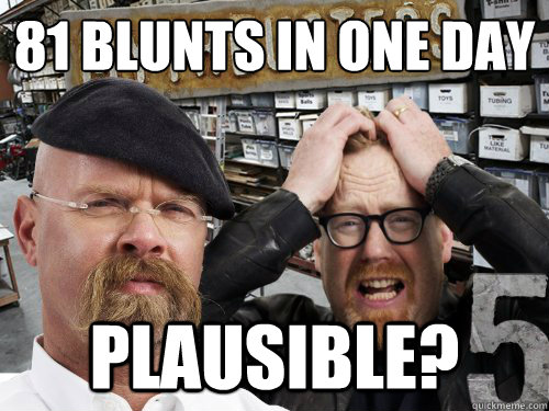 81 blunts in one day plausible - Snoop Doggs AMA answer