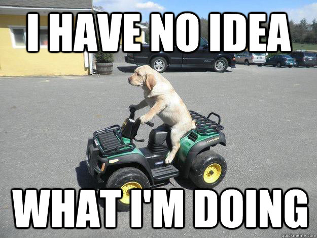 i have no idea what im doing - i have no idea what im doing