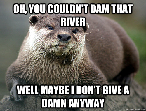 oh you couldnt dam that river well maybe i dont give a da -