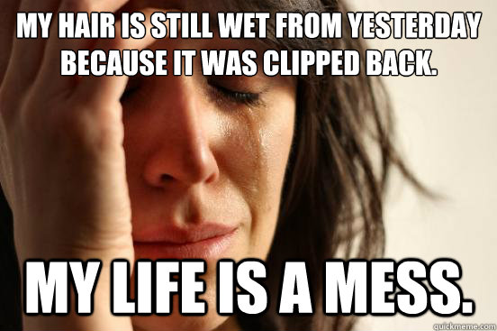 my hair is still wet from yesterday because it was clipped b - First World Problems