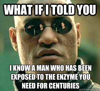 what if i told you i know a man who has been exposed to the - What if I told you