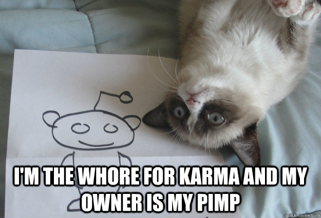 im the whore for karma and my owner is my pimp - Sudden Clarity Grumpy Cat