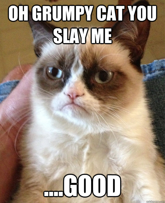 oh grumpy cat you slay me good - Grumpy Cat