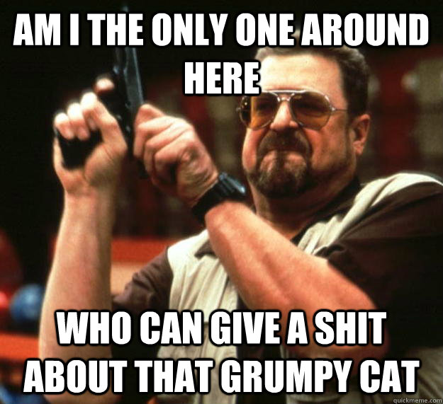 am i the only one around here who can give a shit about that - Angry Walter