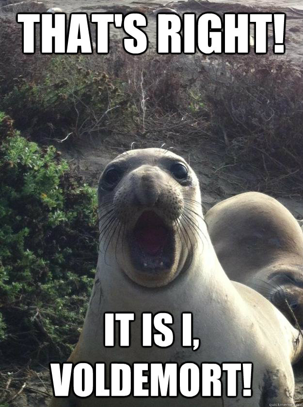 thats right it is i voldemort -
