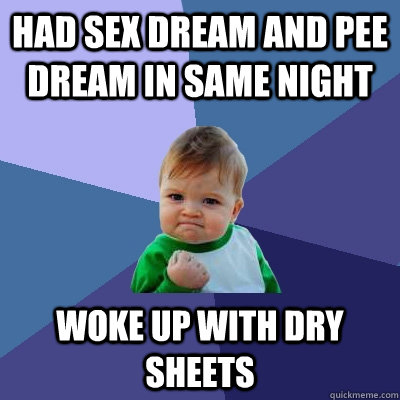 had sex dream and pee dream in same night woke up with dry s - Success Kid