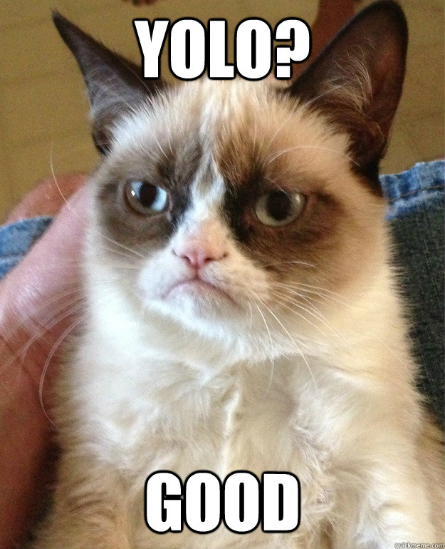 yolo good - Grumpy Cat