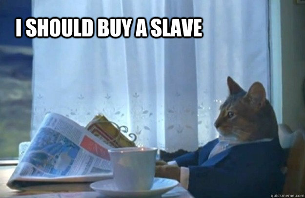 i should buy a slave - Sophisticated Cat