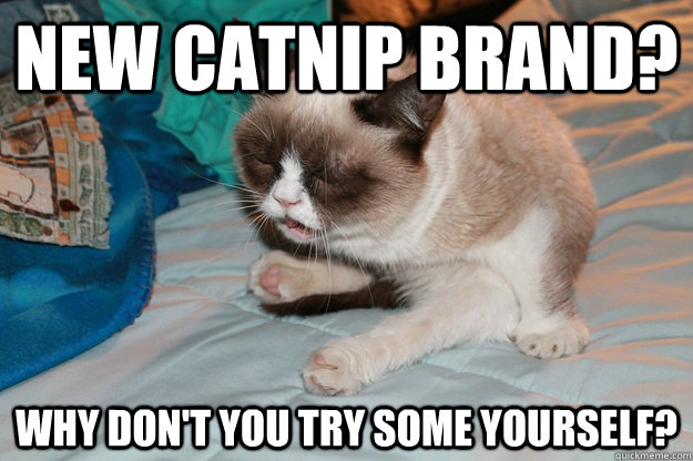 new catnip brand why dont you try some yourself - New Catnip for Grumpy Cat