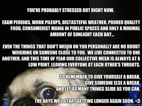 youre probably stressed out right now - chillaxsad