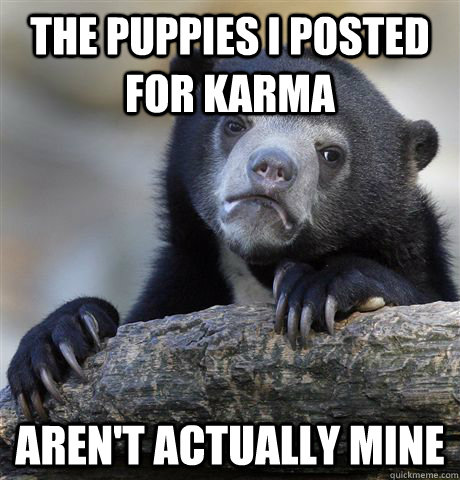 the puppies i posted for karma arent actually mine - Confession Bear