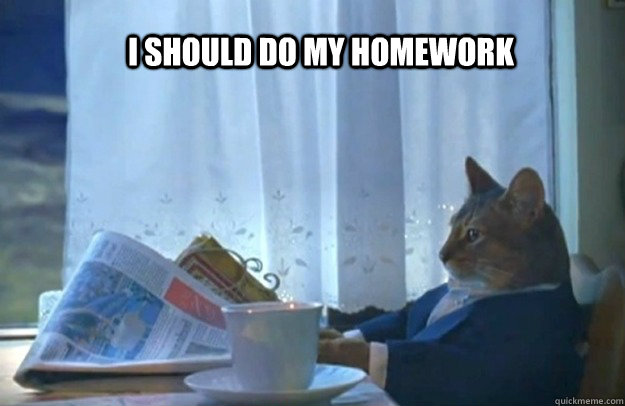 i should do my homework - Sophisticated Cat