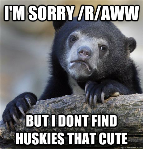 im sorry raww but i dont find huskies that cute - Confession Bear