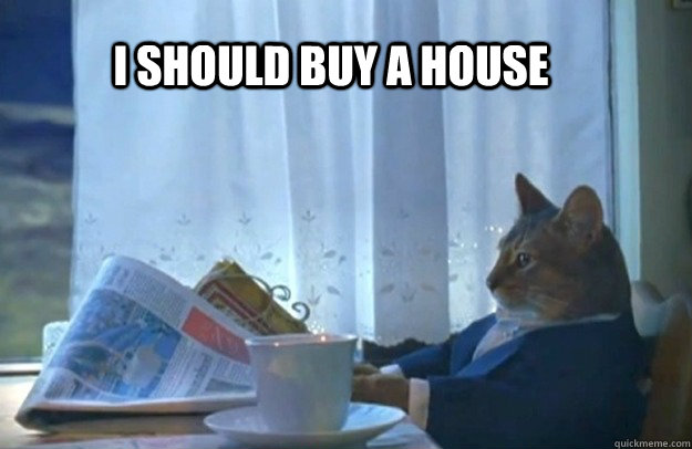 i should buy a house - Sophisticated Cat