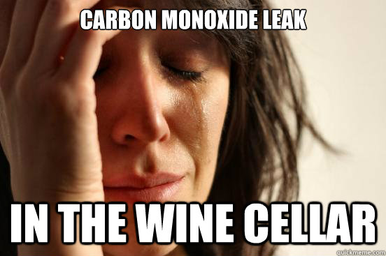 carbon monoxide leak in the wine cellar - First World Problems