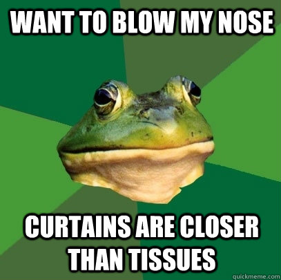want to blow my nose curtains are closer than tissues - Foul Bachelor Frog