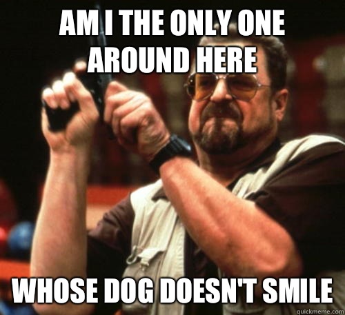 Am i the only one around here Whose dog doesnt smile - Am I The Only One Around Here
