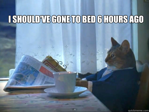 i shouldve gone to bed 6 hours ago - The One Percent Cat