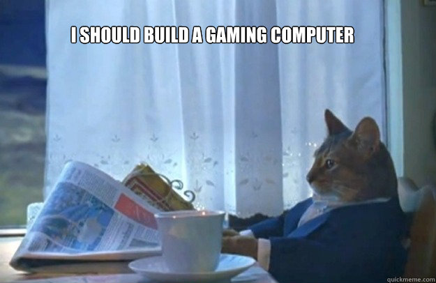 i should build a gaming computer - Sophisticated Cat