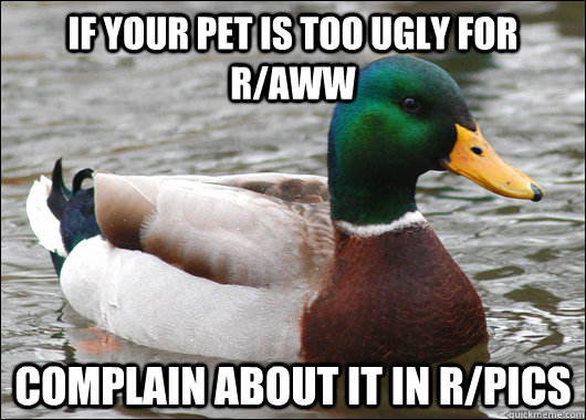 if your pet is too ugly for raww complain about it in rpic - Actual Advice Mallard