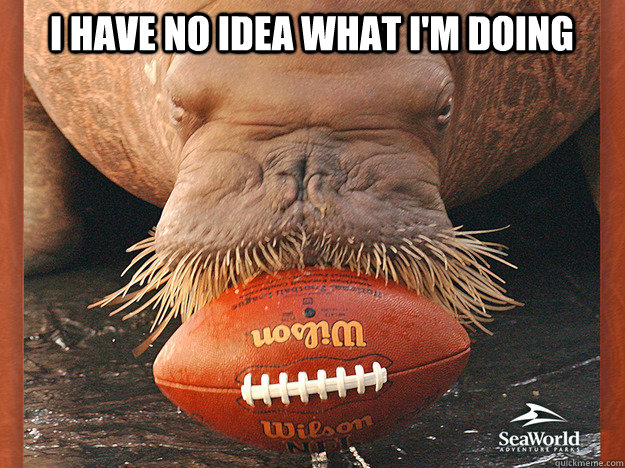 i have no idea what im doing - Jim Bollman