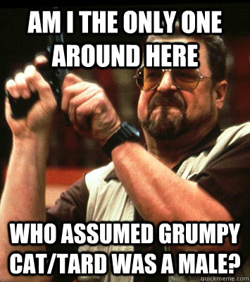 am i the only one around here who assumed grumpy cattard w - Angry walter