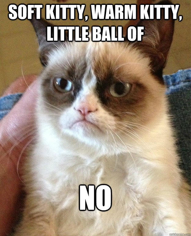 soft kitty warm kitty little ball of no - Grumpy Cat