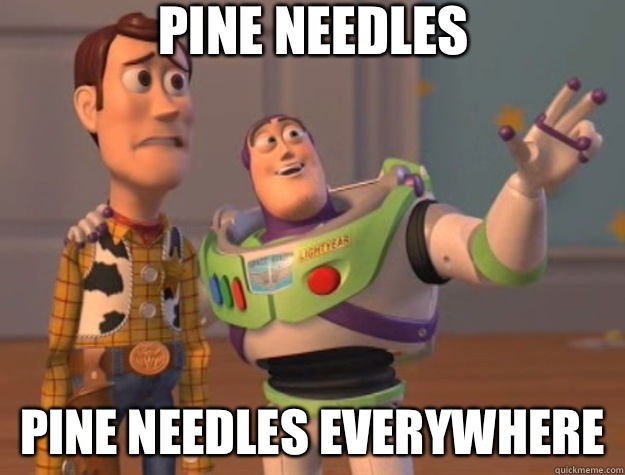 Pine needles Pine needles everywhere - Toy Story