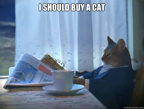i should buy a cat - The One Percent Cat