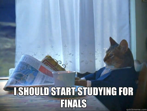 i should start studying for finals - The One Percent Cat