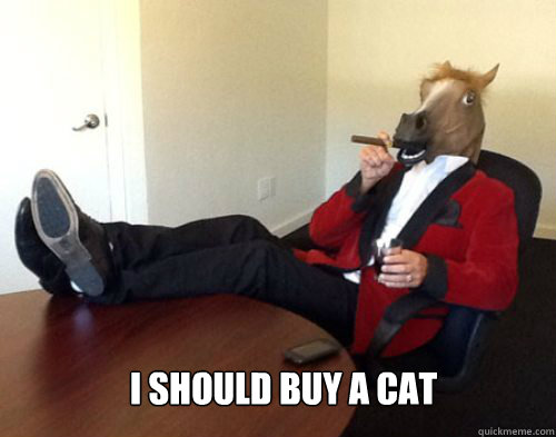 i should buy a cat -