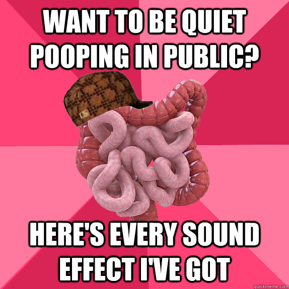 want to be quiet pooping in public heres every sound effec - Scumbag Intestines