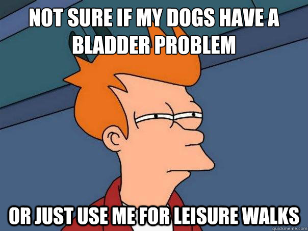 not sure if my dogs have a bladder problem or just use me fo - Futurama Fry