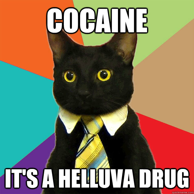 cocaine its a helluva drug - Business Cat