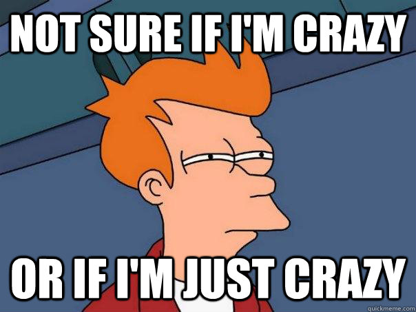 not sure if im crazy or if im just crazy - Futurama Fry