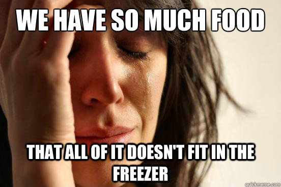 we have so much food that all of it doesnt fit in the freez - First World Problems