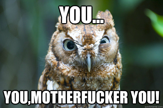 you youmotherfucker you - Angry owl